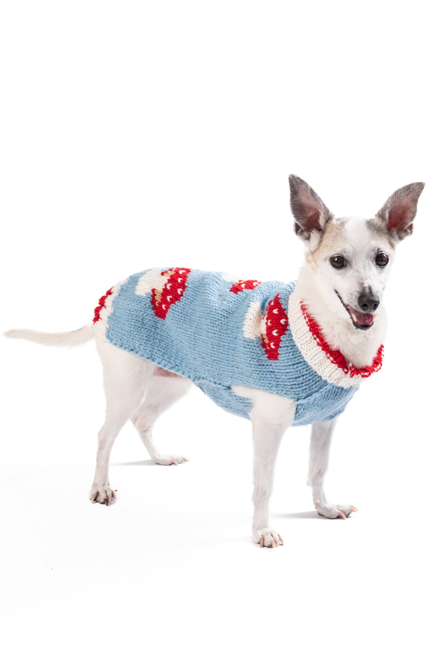 Pull à champignons pour chiens xs