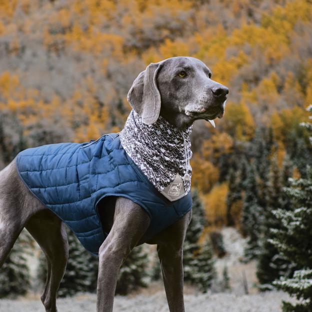 Écharpe pour chien SCRUFF - Montagnes
