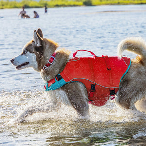 Veste de flottaison pour chiens SURF'N'TURF