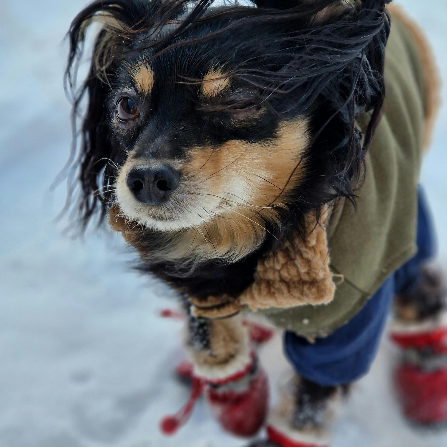 Bottes