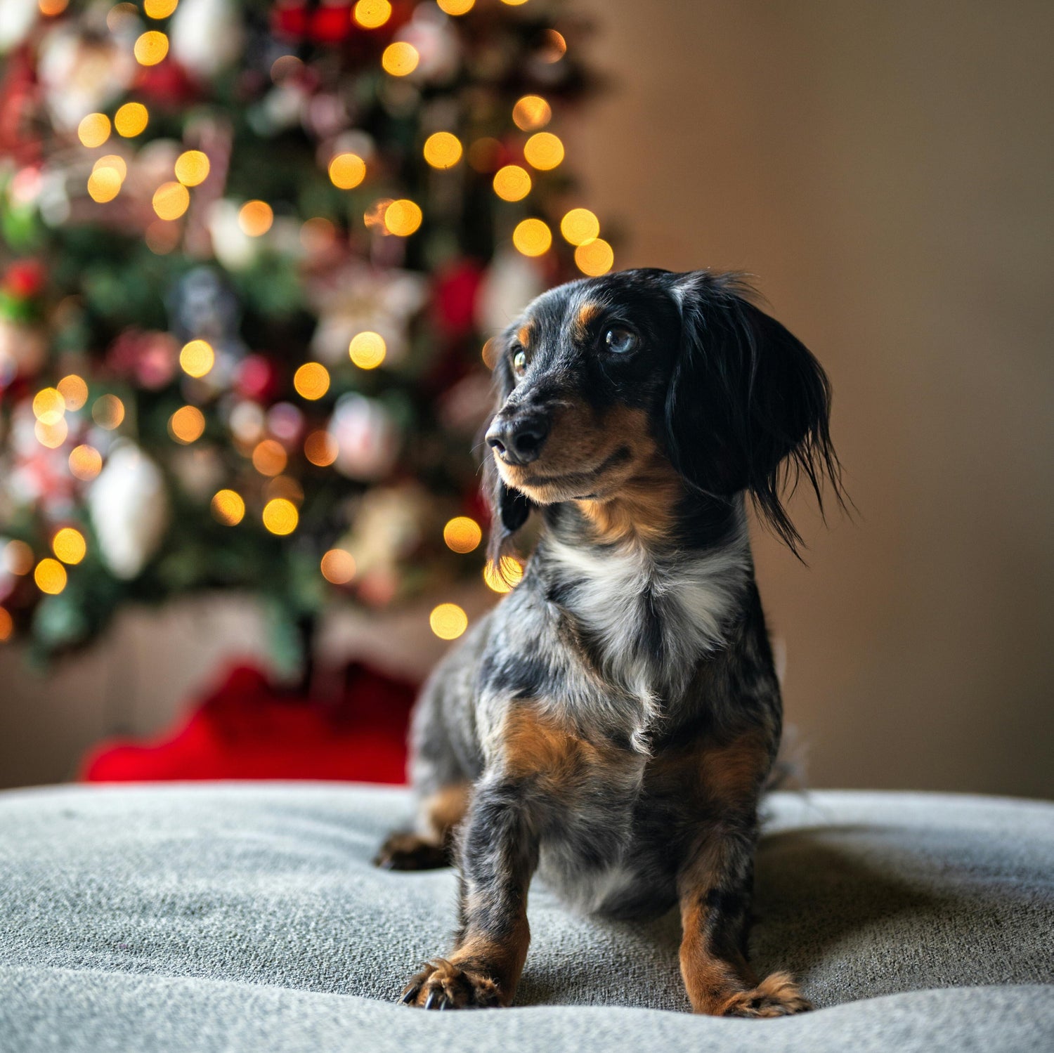 Idées cadeaux de Noël