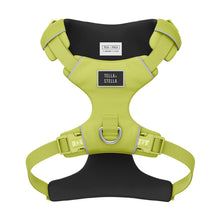 Charger l&#39;image dans la galerie, Harnais robuste pour chien Tella &amp; Stella