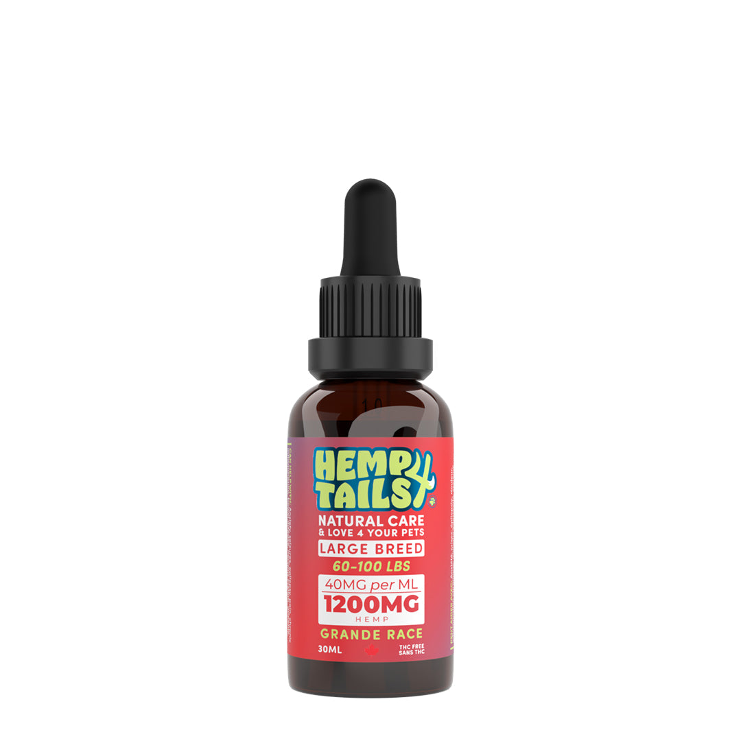 HEMP TAIL huile de chanvre