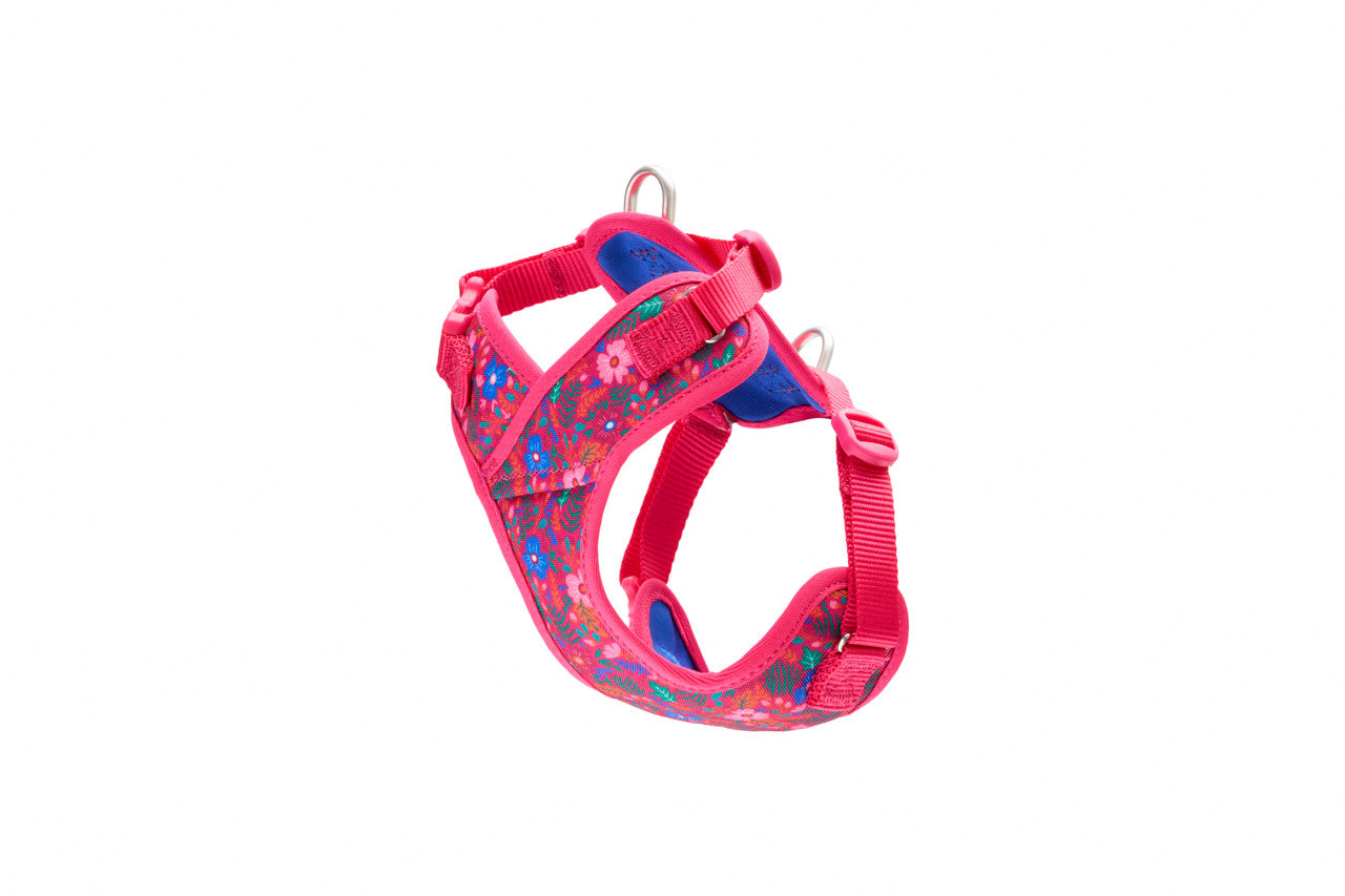 Harnais pour chien PETITE PATROUILLE