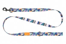 Charger l&#39;image dans la galerie, Laisse Éco