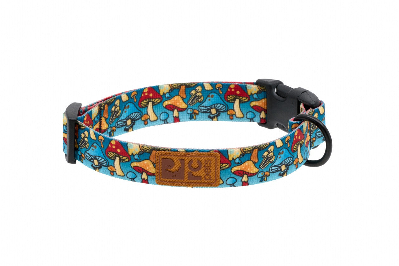 Collier Éco
