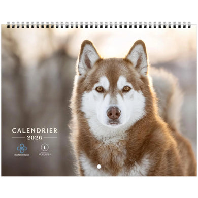 Calendrier CHIOTS NORDIQUES 2026