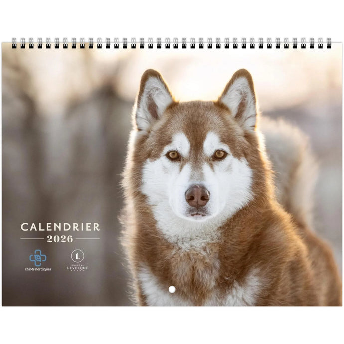 Calendrier CHIOTS NORDIQUES 2026