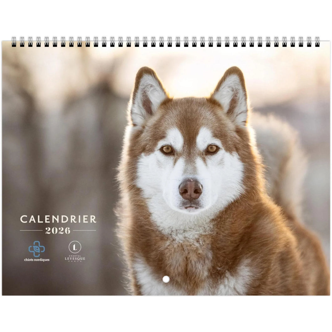 Calendrier CHIOTS NORDIQUES 2026