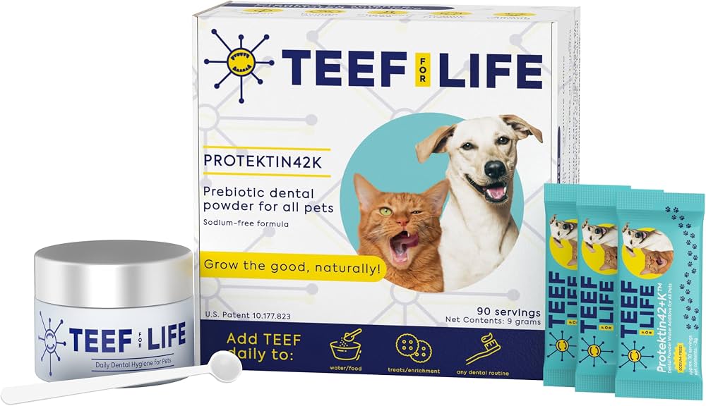 Teef for life - poudre dentaire prébiotique pour chiens et chats (Protein42k) - 30g