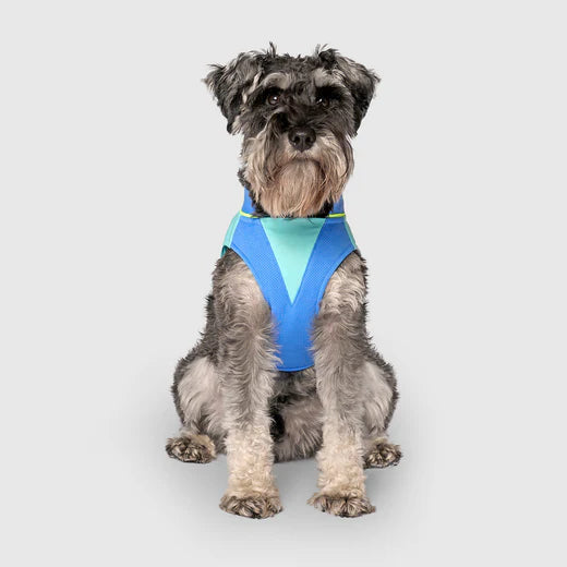 Canada Pooch - Max chill cooling vest - bleu