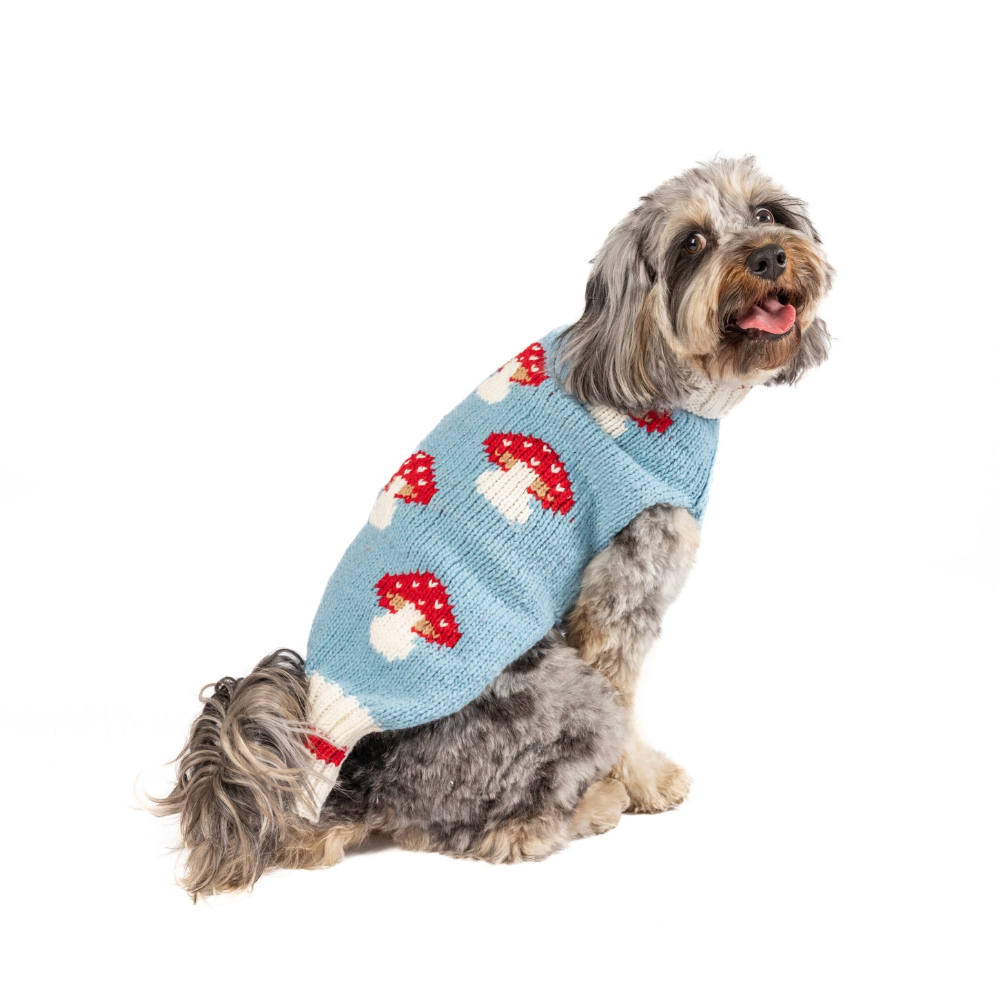 Pull à champignons pour chiens xs