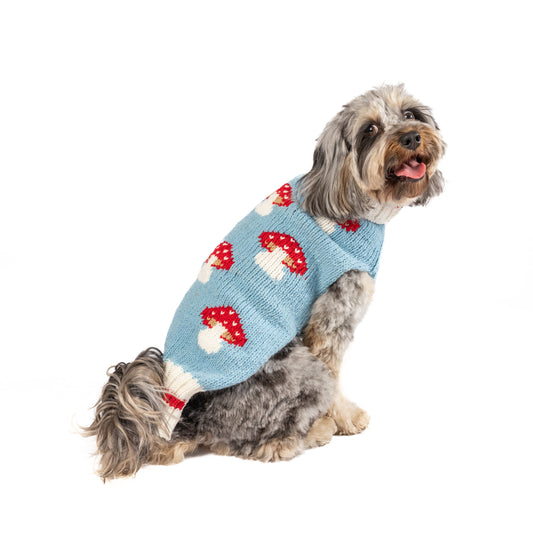 Pull à champignons pour chiens xs