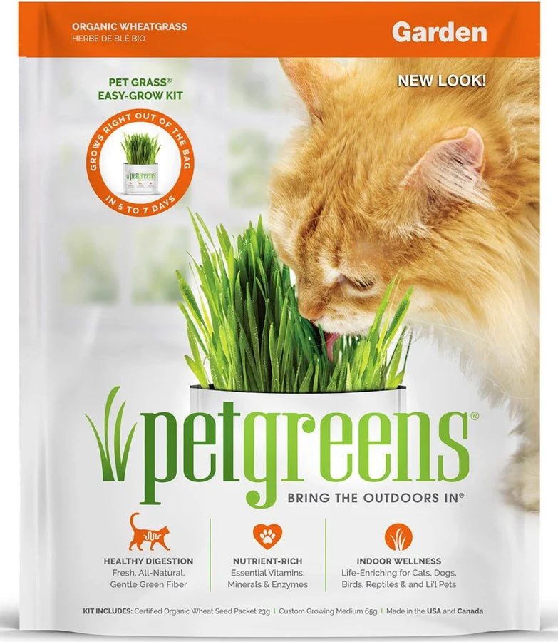 Petgreens - kit de cultivation d'herbe de blé