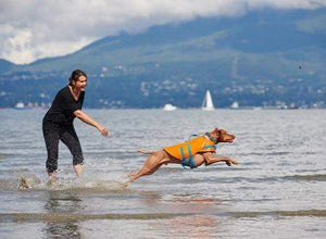 Veste de flottaison pour chiens - TIDAL