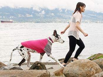Gilet anti-UV SOLIS