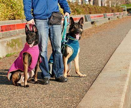 Manteau TUNDRA FLEECE