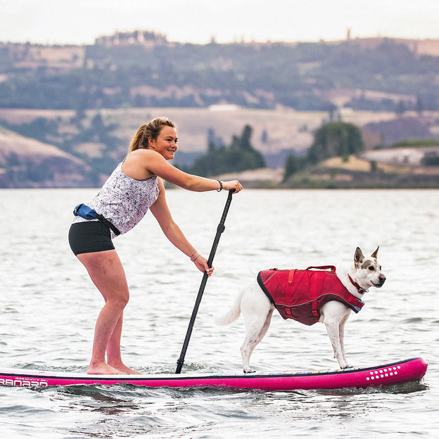 Veste de flottaison pour chiens SURF'N'TURF