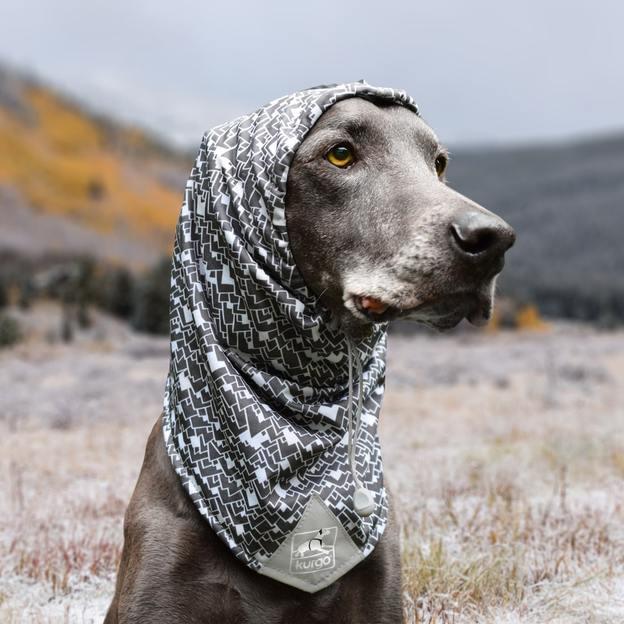 Écharpe pour chien SCRUFF - Montagnes