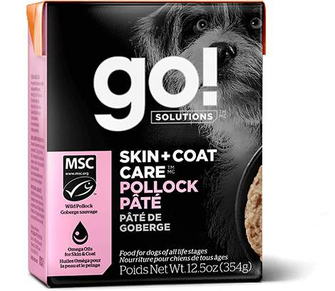 Tetra Pak go!