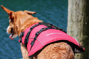 Veste de flottaison pour chiens
