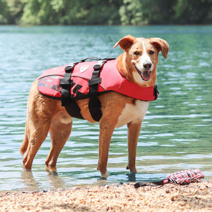 Veste de flottaison pour chiens