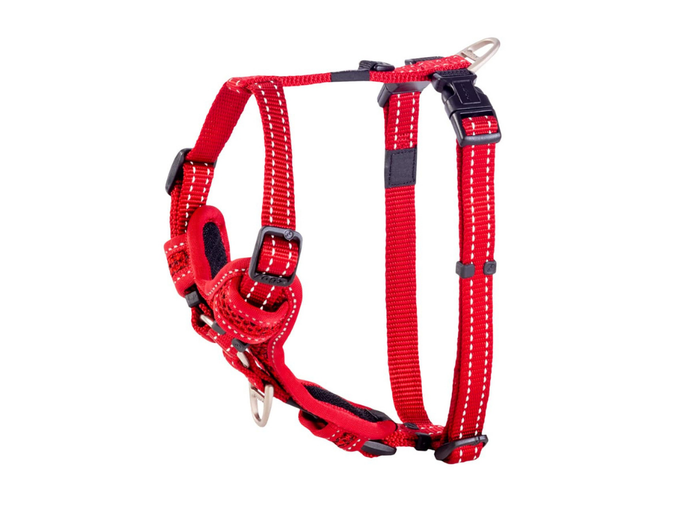 Harnais pour chien UTILITY CONTROL
