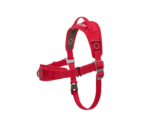 Harnais pour chien WALK ABOUT NO-PULL