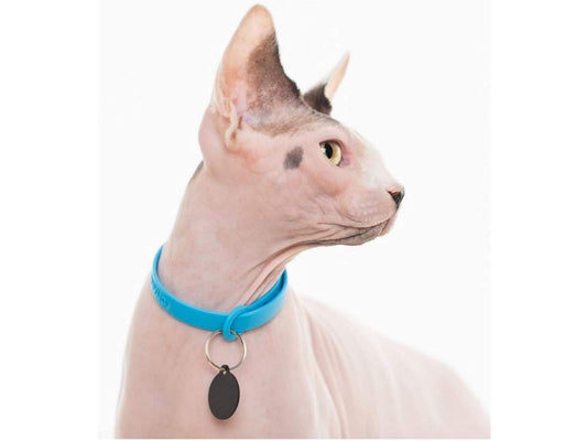 Collier pour chats - NUVUQ
