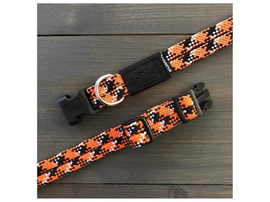 Collier pour chiens WILDCAT