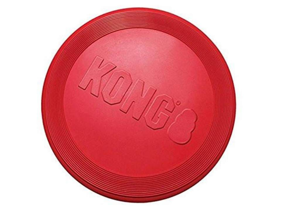 KONG Flyer