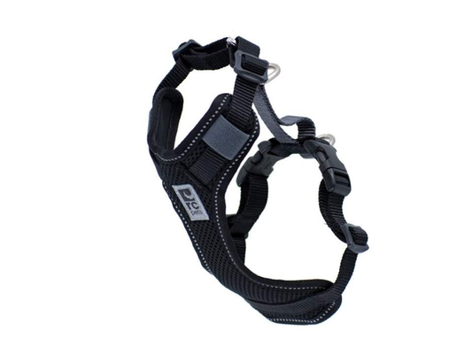 Harnais MOTO CONTROL