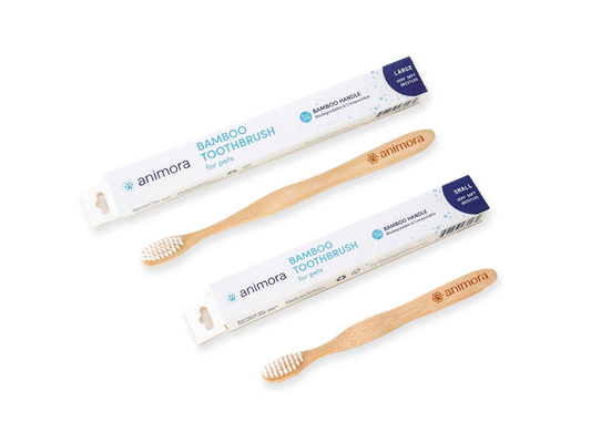 Brosse à dents en bambou