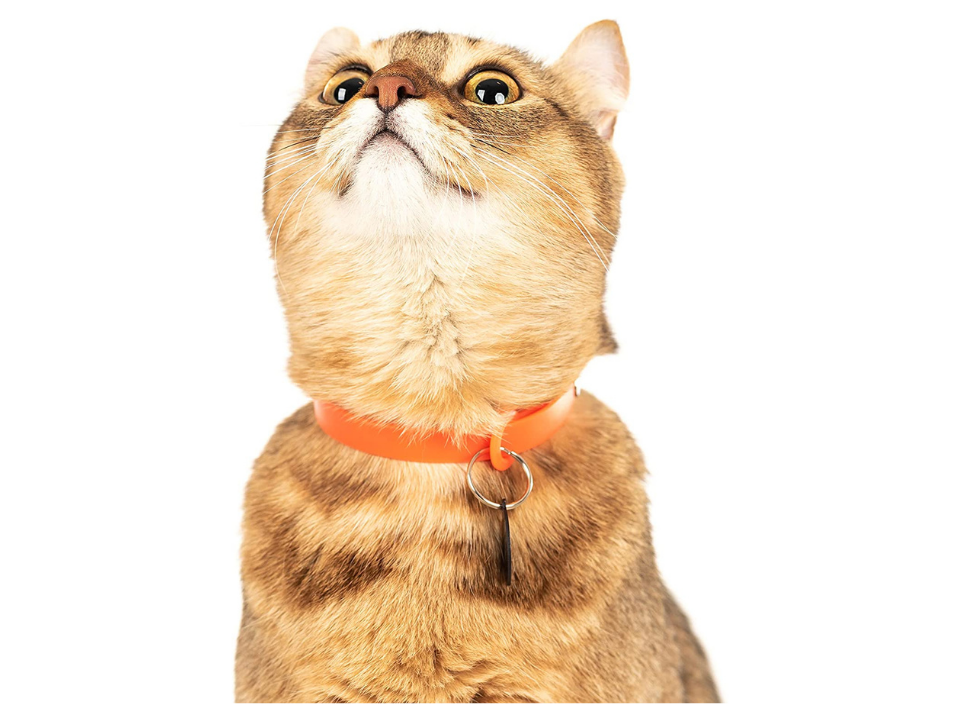 Collier pour chats NUVUQ