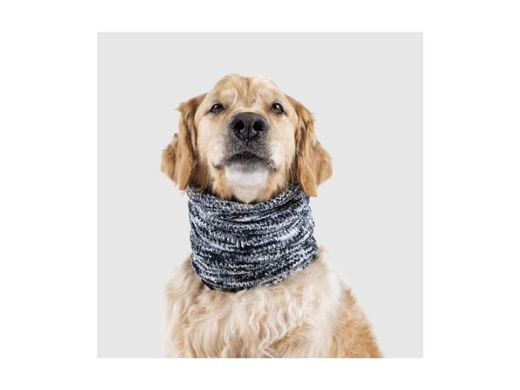 Cache-cou pour chiens