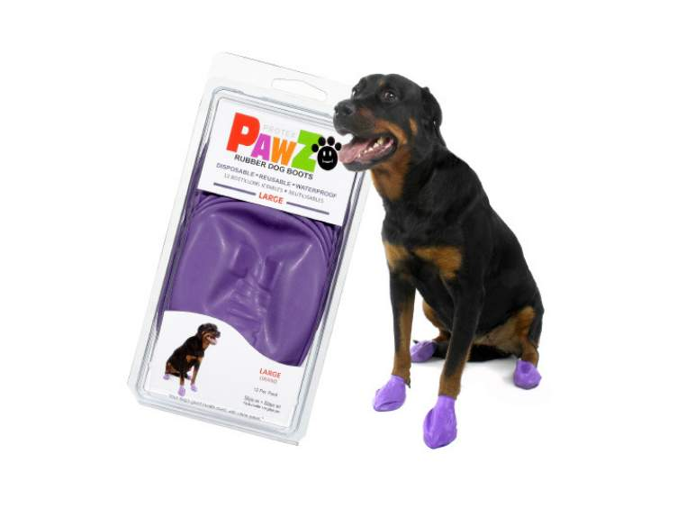 Bottes imperméables en caoutchouc PAWZ