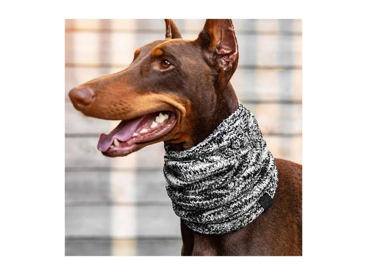 Cache-cou pour chiens